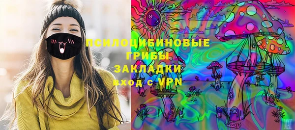 винт Верея