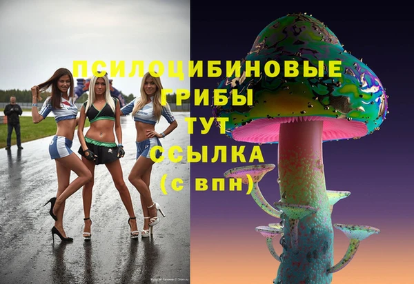 винт Верея