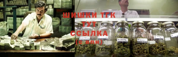 винт Верея